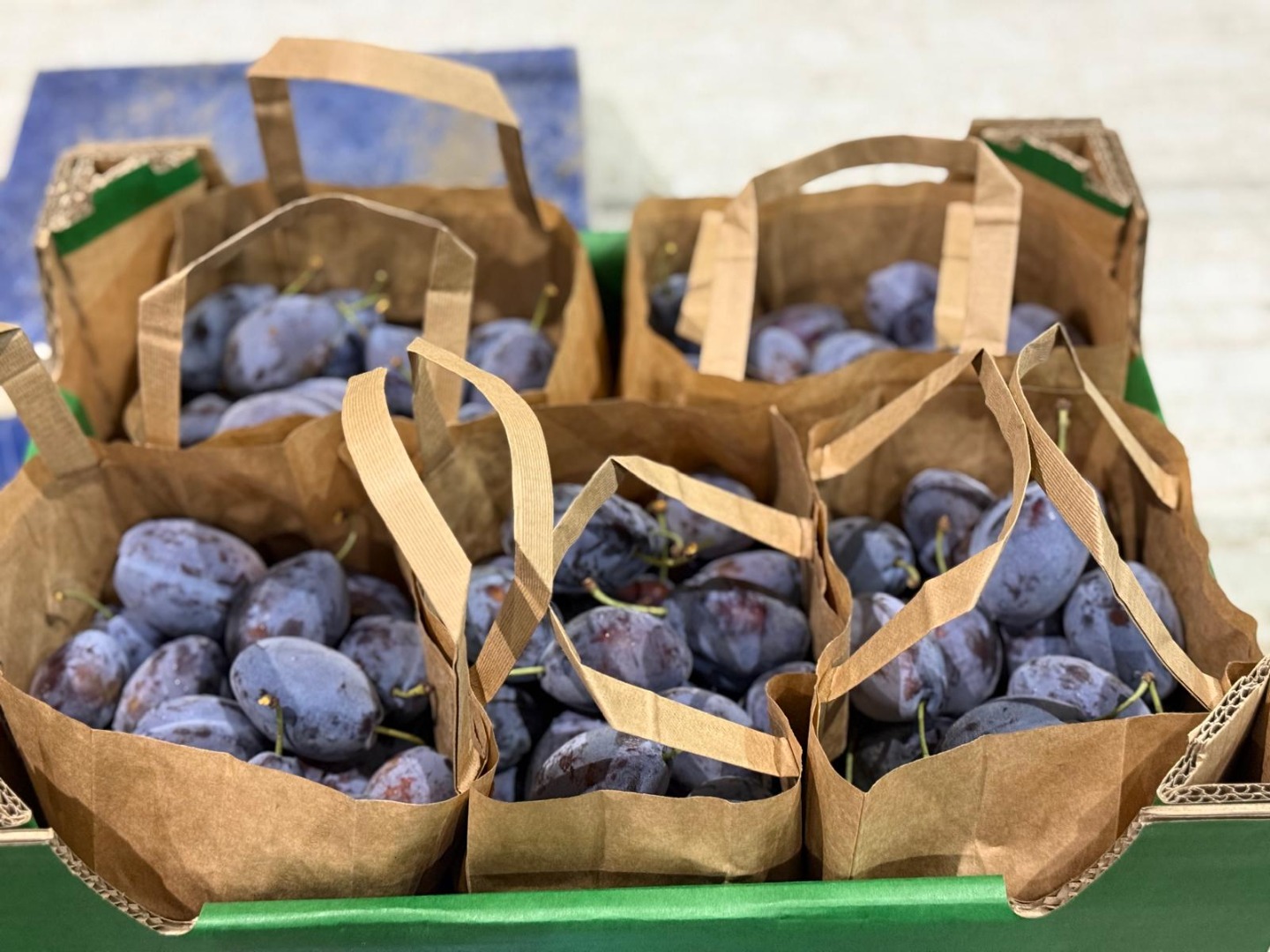 10 kg wooden crates – fresh Stanley plums packed in 10 kg wooden crates