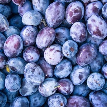 I'm looking to buy Hungarian plums in any quantity
