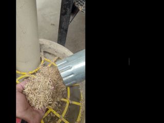I am buying SINGLE-GRAIN LIME. Quantity about 100-200 tons.