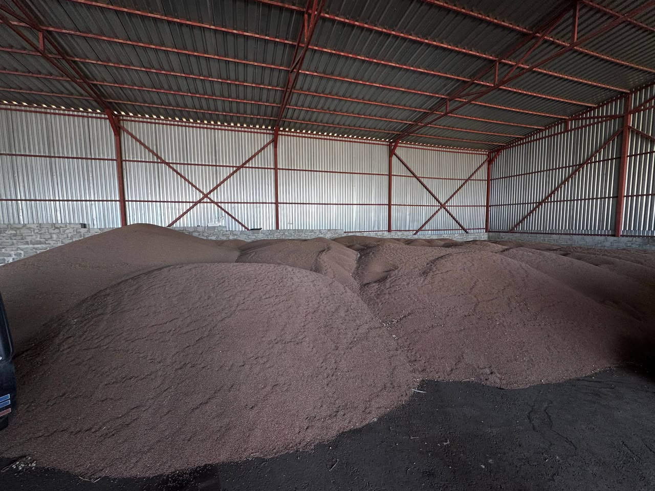Quality indicators: Moisture content, %, no more than — 14.0; Foreign matter content, %, no more than — 1.0; Mineral matter content, %, no more than — 0.25