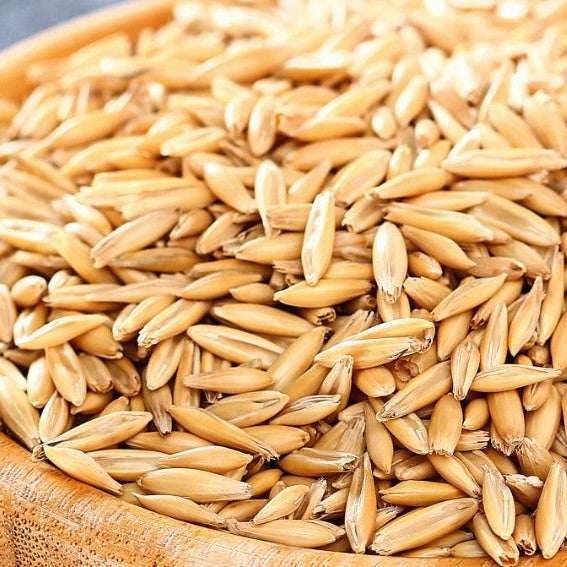 2026 season organic oats, currently available 25t, but will have another[phone number] till mid september