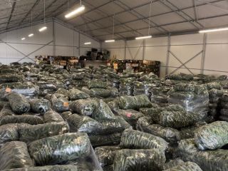 Fresh Romanian Greenhouse Cucumbers – Wholesale / Large Volumes
