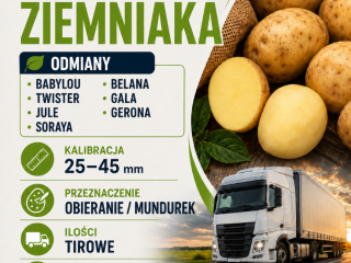 I will buy potatoes in the 25-45 mm calibration.
