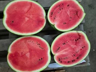 I will sell watermelon in a cardboard box, truck
