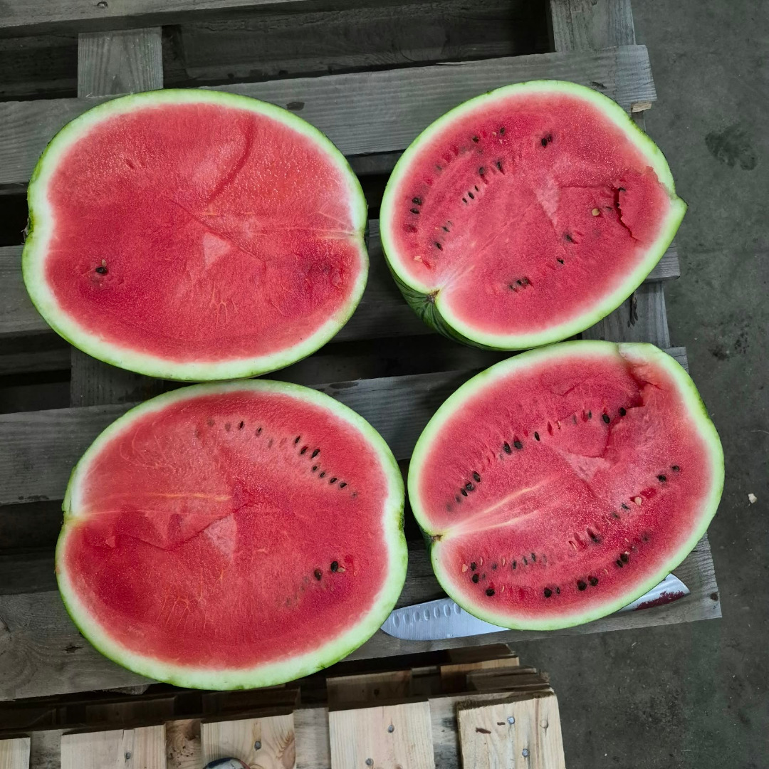 I will sell watermelon in a cardboard box, truck quantities