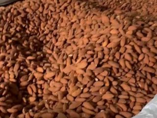 Good morning. I offer wholesale sales of high-quality almonds