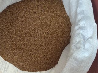 We are offering high-quality Greek Alfalfa (Lucerne) Seed directly