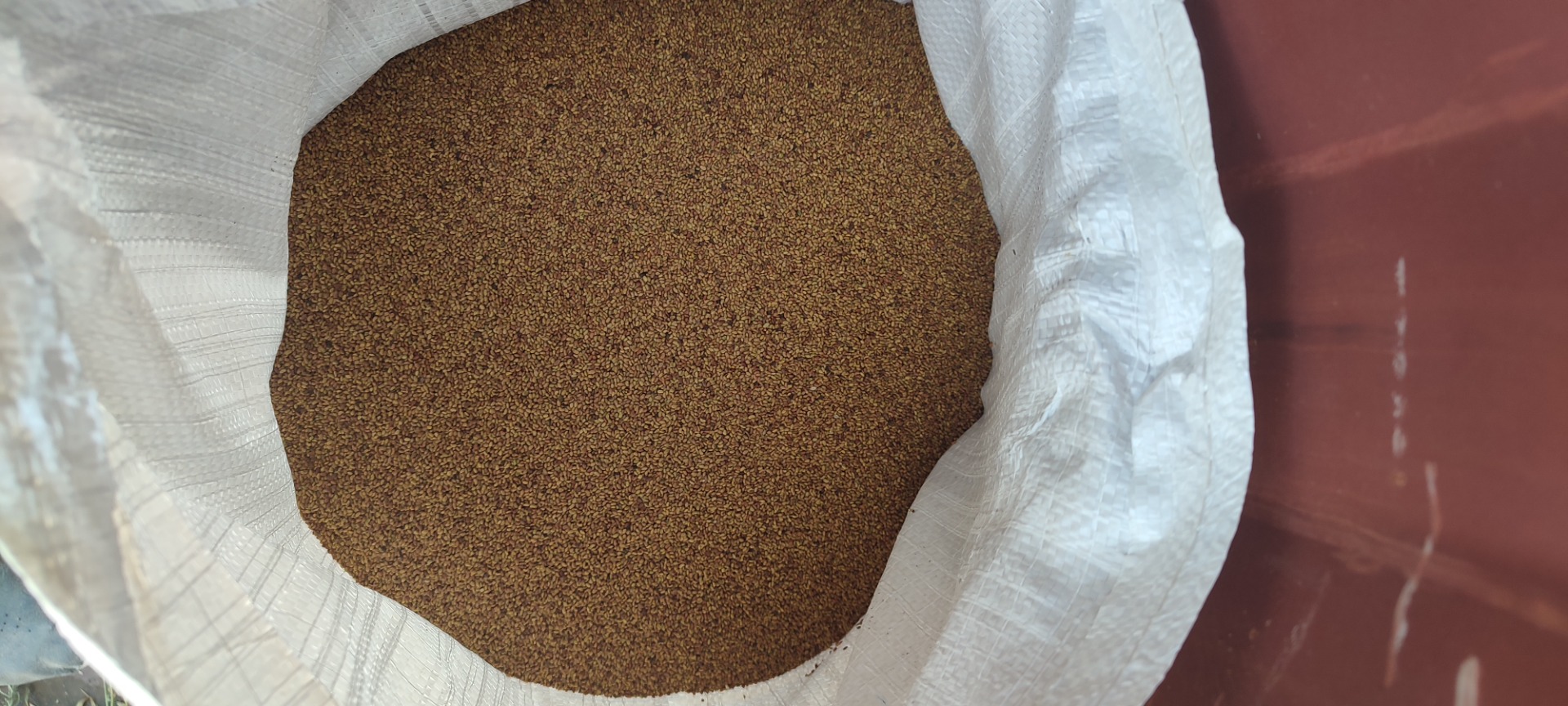 We are offering high-quality Greek Alfalfa (Lucerne) Seed directly from a professional agricultural producer in Greece