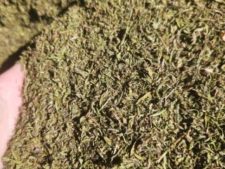 Savory, ground herb