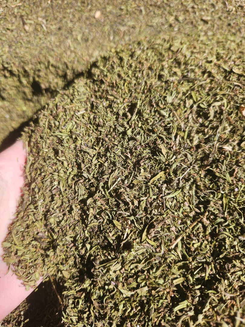 Savory, ground herb