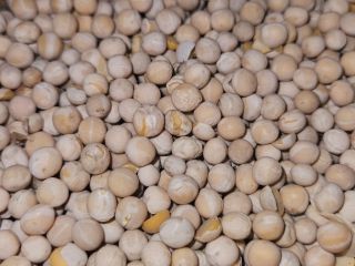 This year's peas 18t
