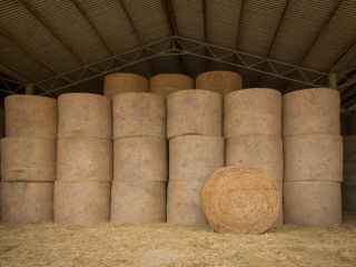 I WANT TO BUY HAY BALES, first and second