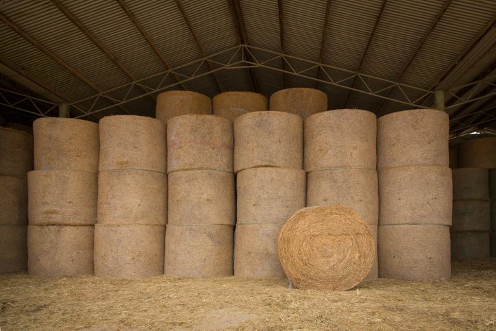 I WANT TO BUY HAY BALES, first and second cut, IN STORED, minimum quantity of 44 bales or more