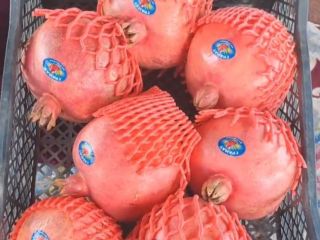 Fresh pomegranate export from Uzbekistan packing plastic box carton