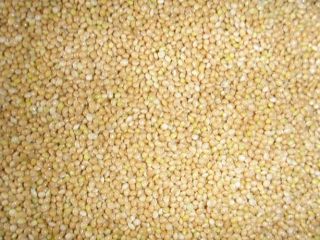 We offer grains and legumes (yellow/green peas, beans, millet,