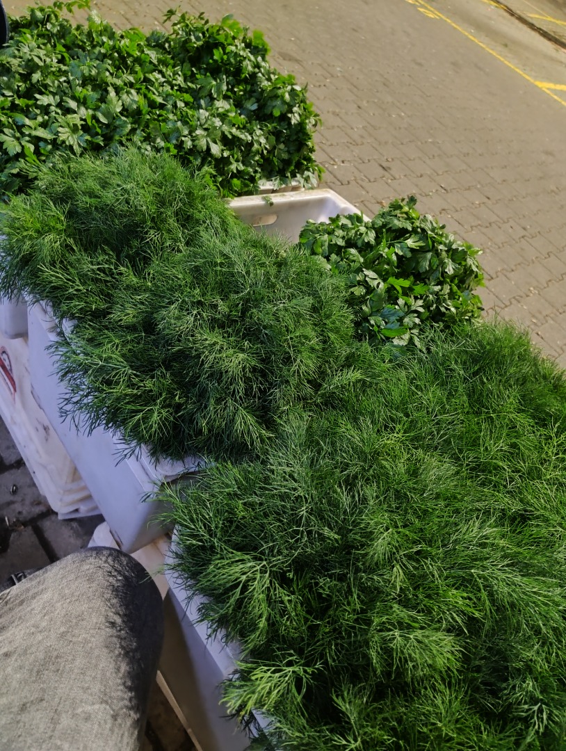 We offer parsley and young dill