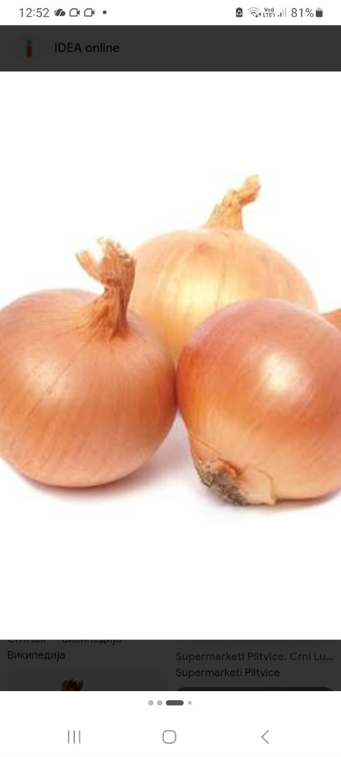 We do need onion for Germany market 3 truck 23 ton per month