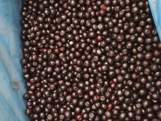 Frozen chokeberries, class 1 - organic and conventional. Full