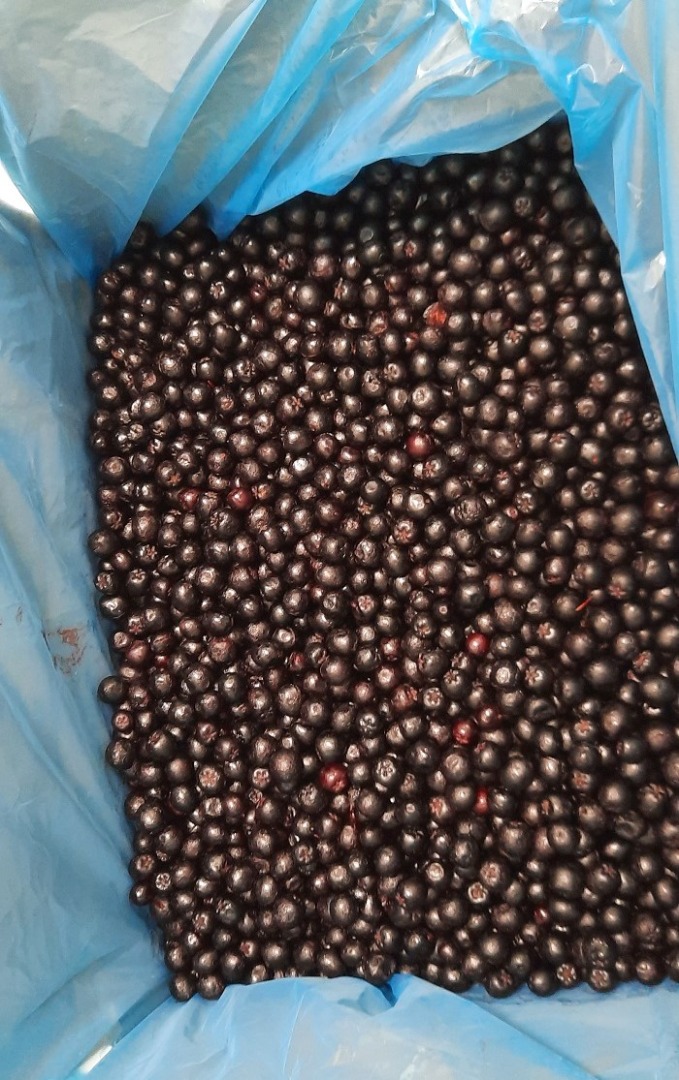 Frozen chokeberries, class 1 - organic and conventional