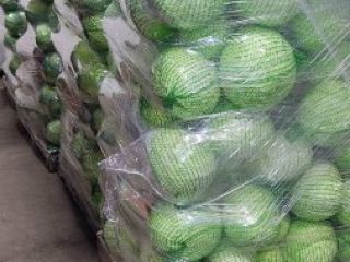 I'm selling white, savoy, and red cabbage - truckload