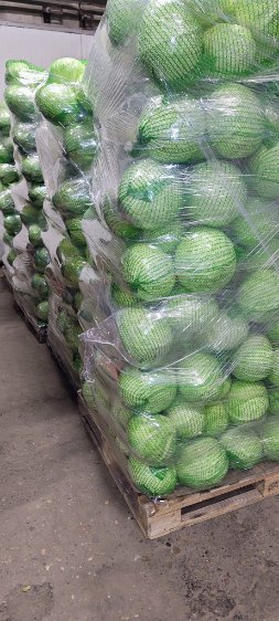 I'm selling white, savoy, and red cabbage - truckload quantities