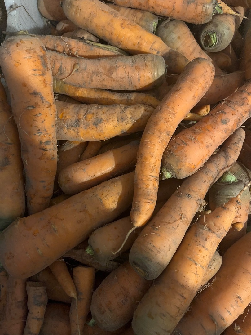 I will sell carrots of various calibers, unwashed, cleaned from the soil, dug to order