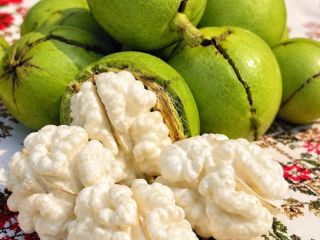 ROMANIAN WALNUT KERNELS – 20 MT/MONTH We offer premium