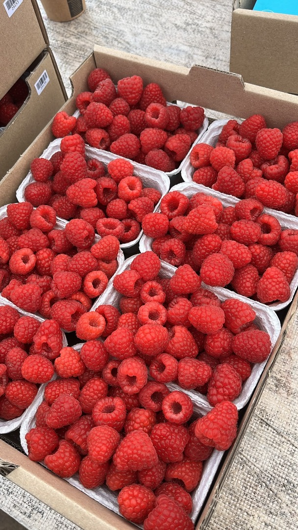 Raspberry from under the tunnel 300-400 kg per day