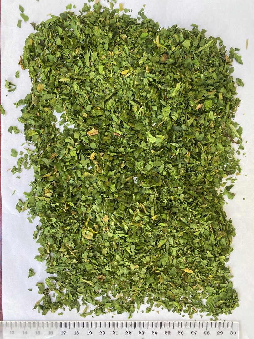 Dried wild garlic, originating from Poland
