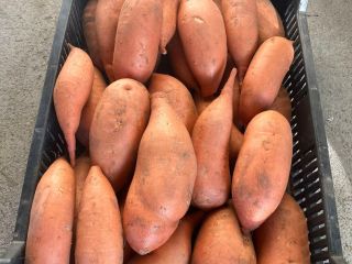 hand-picked sweet potatoes for sale Yellow, white, purple.
