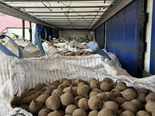 We offer beetroots in big bags or small bags.