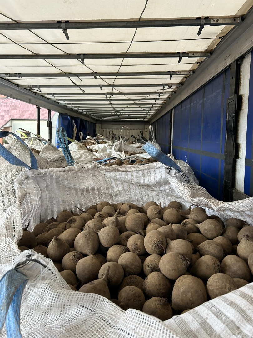 We offer beetroots in big bags or small bags