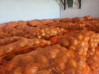 We offer yellow onion. Bags 10/15 kg. We can