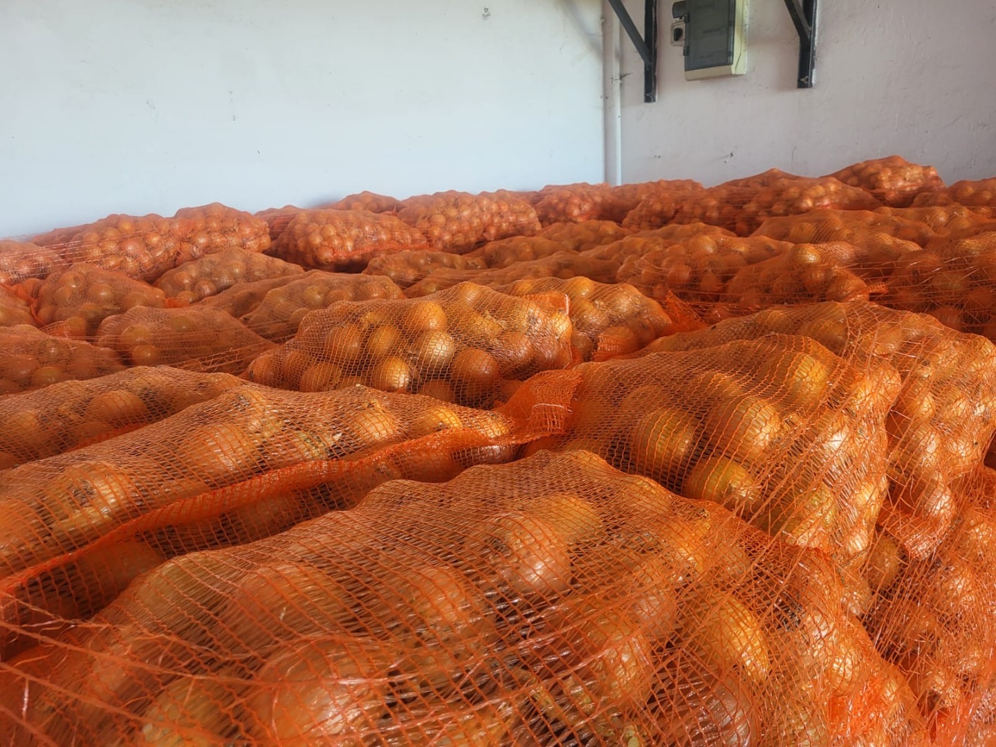 We offer yellow onion