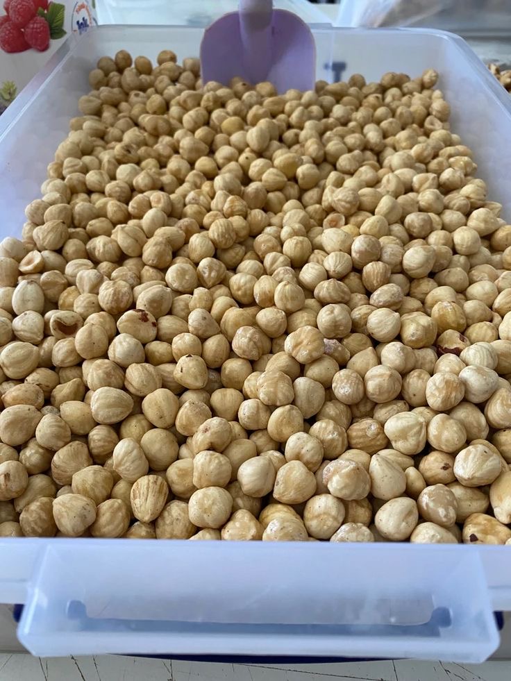 Premium Turkish Blanched Hazelnut Kernels (White Hazelnuts), skin fully removed