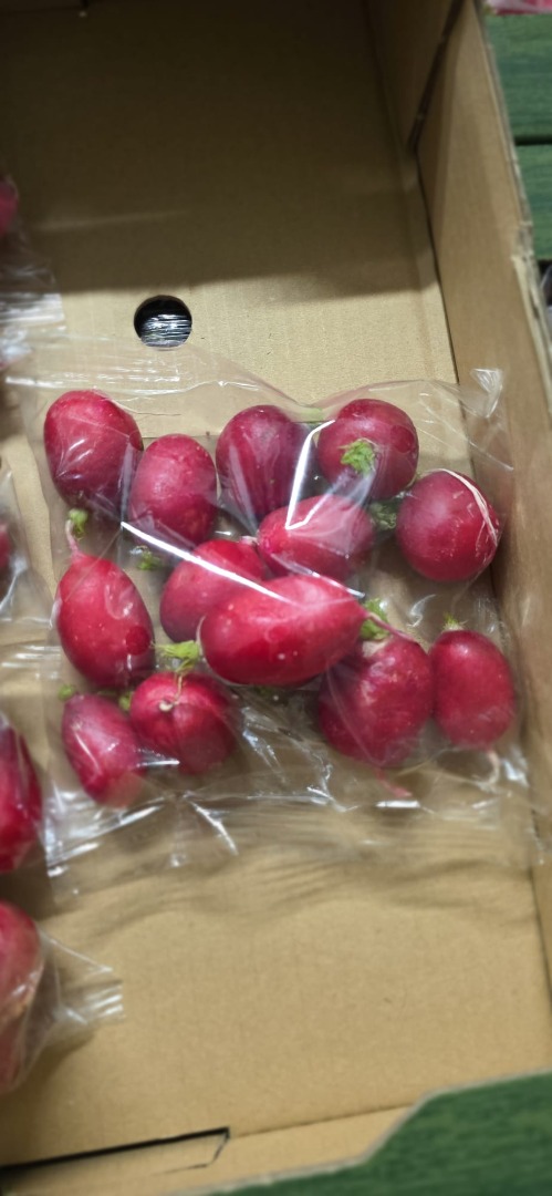 I'm selling loose radishes, packed in 15 kg crates