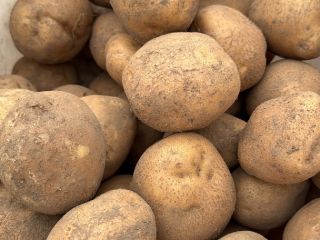 I will sell Vineta 2 PLN edible per kg