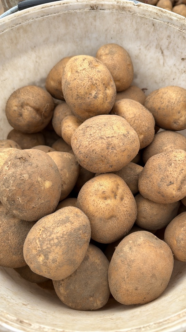 I will sell Vineta 2 PLN edible per kg and worse sor 1 PLN/kg all packed in 50 kg