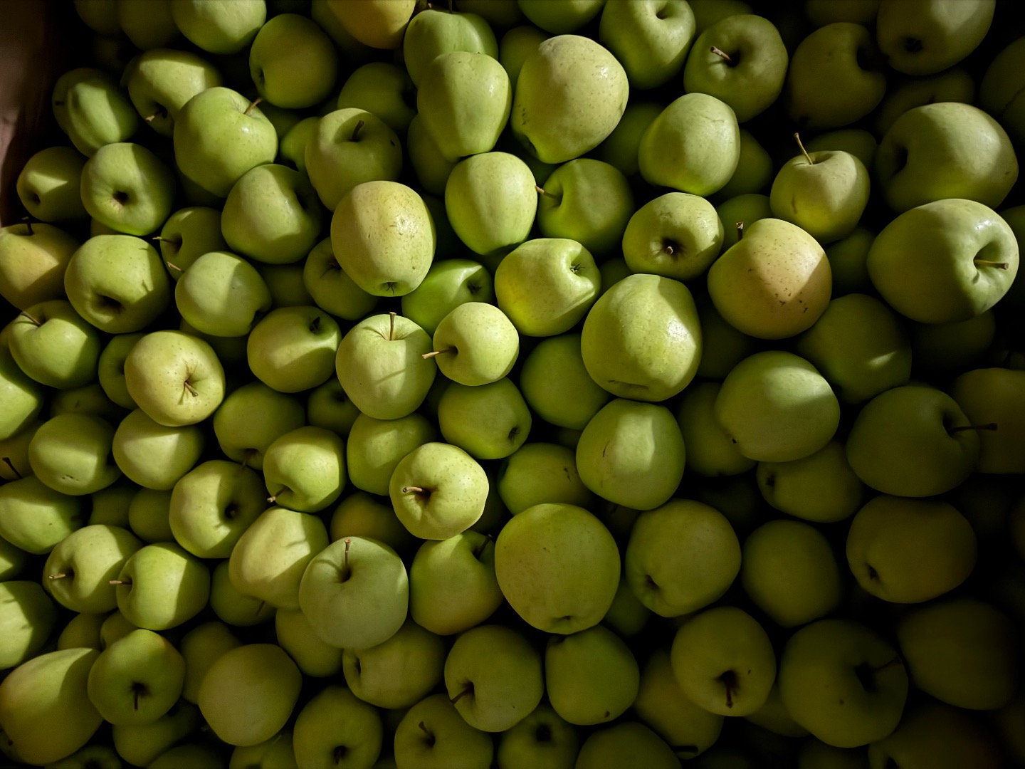 I sell different varieties of apples