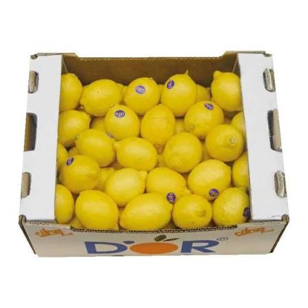 Goicha Company offers fresh lemons of Azerbaijani origin for wholesale export