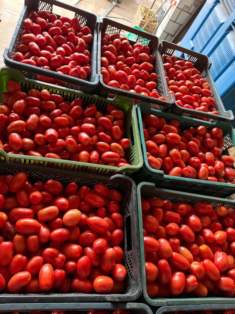 I'm selling Dyno tomatoes