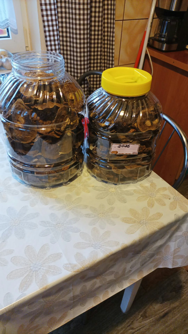 I'm selling this year's dried bay bolete heads