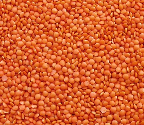 Red Lentils: The Red Footballs are also made from the Whole Red Lentil
