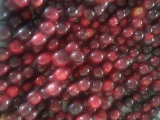 I am selling fresh cranberries.
