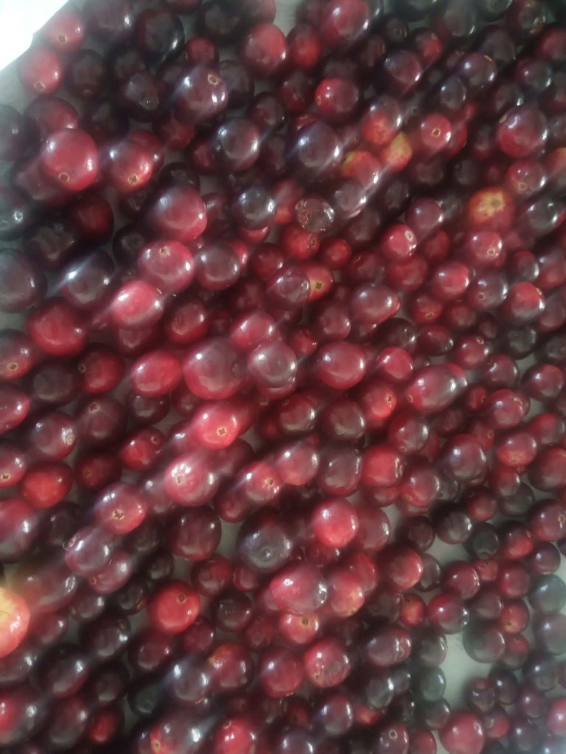 I am selling fresh cranberries