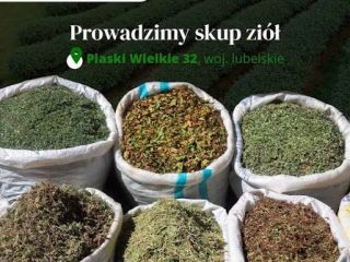Polskie Zioła specialises in sourcing and supplying high-quality dried