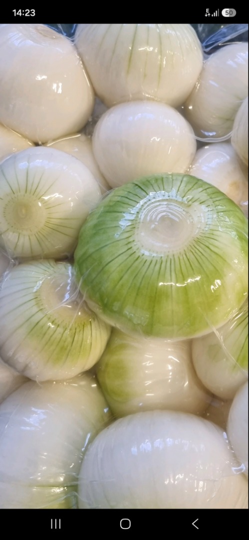 I would like to buy peeled, ready-to-cook red and purple onions! 10-12 tons per week