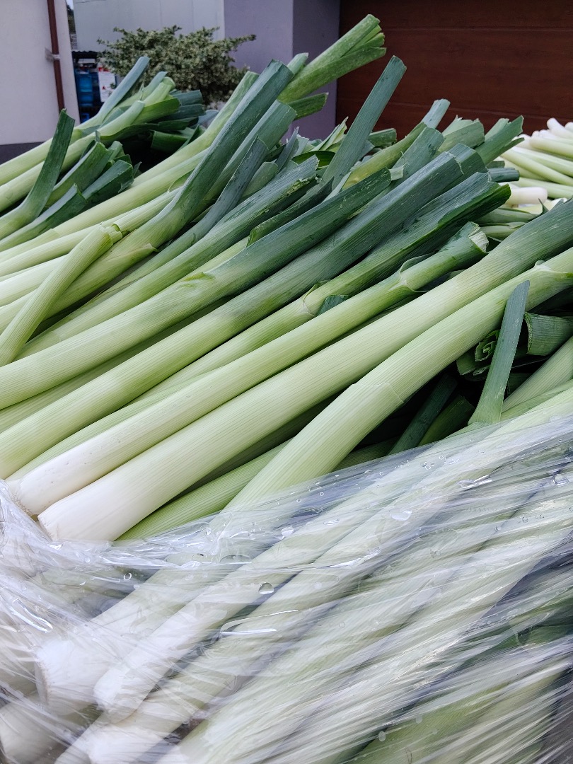 Bulgina leeks for sale