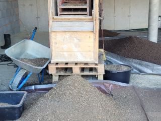 Unsprayed, cleaned buckwheat, 13% moisture. Available in big bags