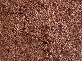 Kazakhstan-origin oil flaxseed available for export. Quantity: 1,000 MT.